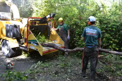 tree services Casa Conejo